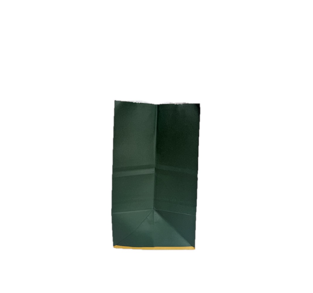 Golden Dragon Deep Green Paper Gift Bag