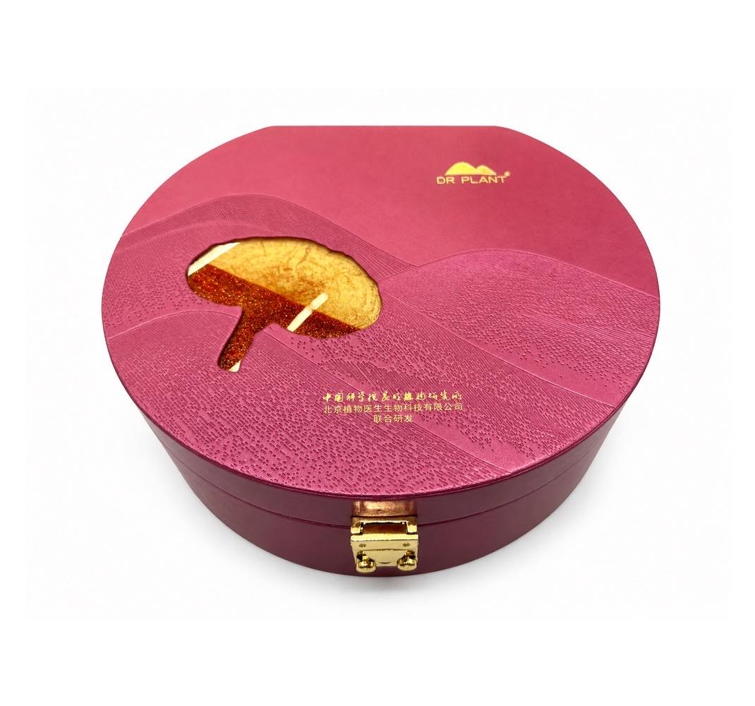 Bakery Box